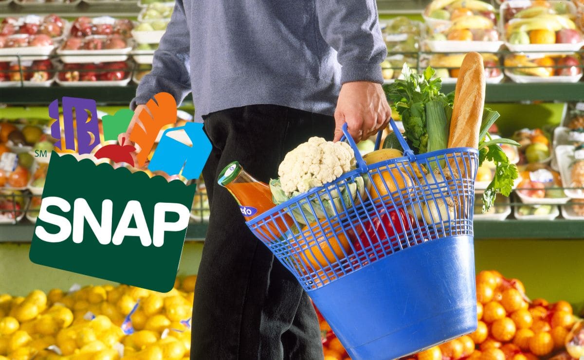 Get the new SNAP Food Stamps in the next week of August