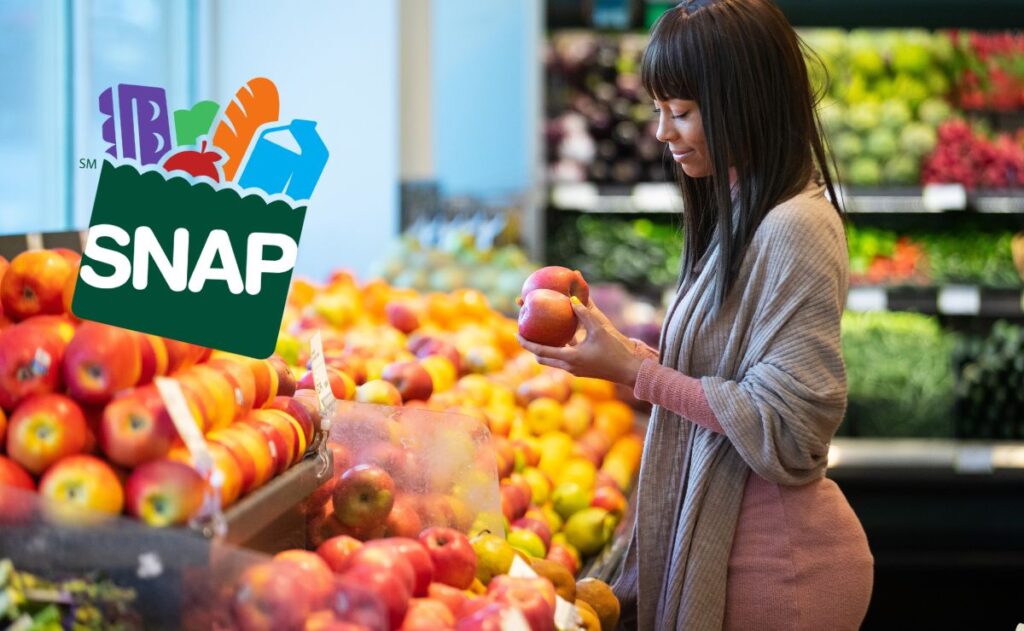 SNAP Food Stamps November Calendar will make beneficiaries to have a new check soon