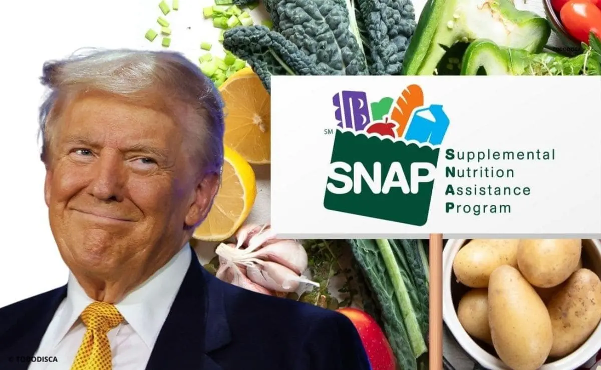 SNAP Food Stamps could get changes in the next year