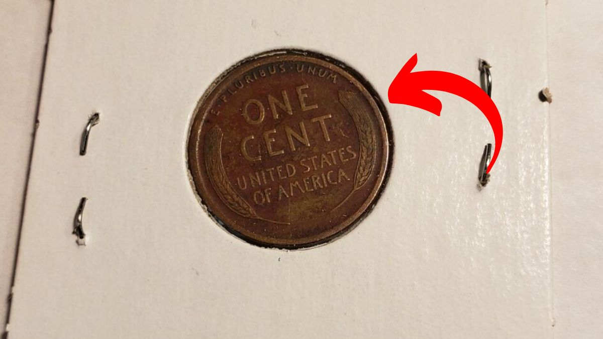 This Rare Lincoln Wheat Penny Could Be in Your Pocket