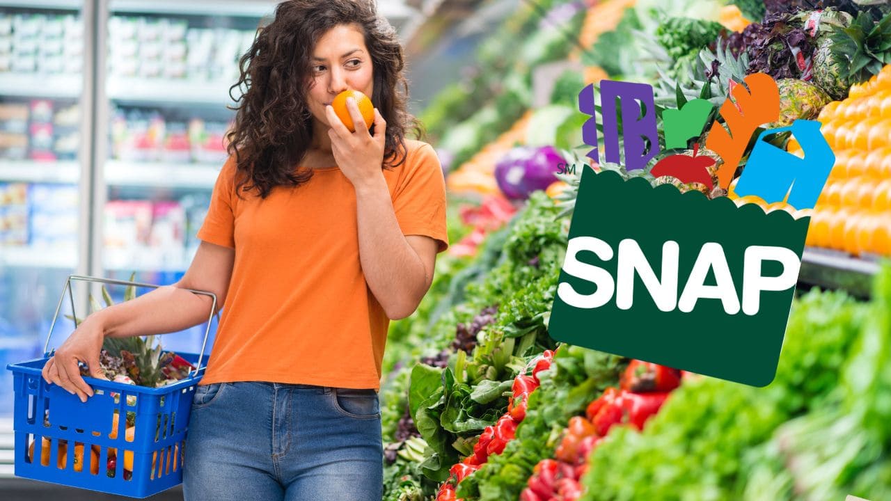 This is the SNAP Food Stamps calendar for the month of February