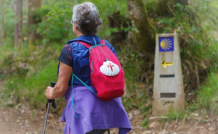 Paradores - Camino de Santiago. Canva