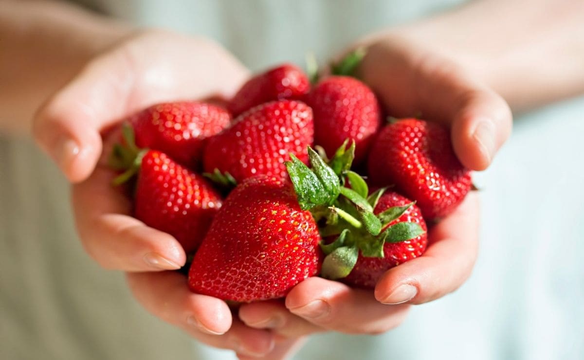 Curiosidades de las fresas para que quieras comerlas a diario