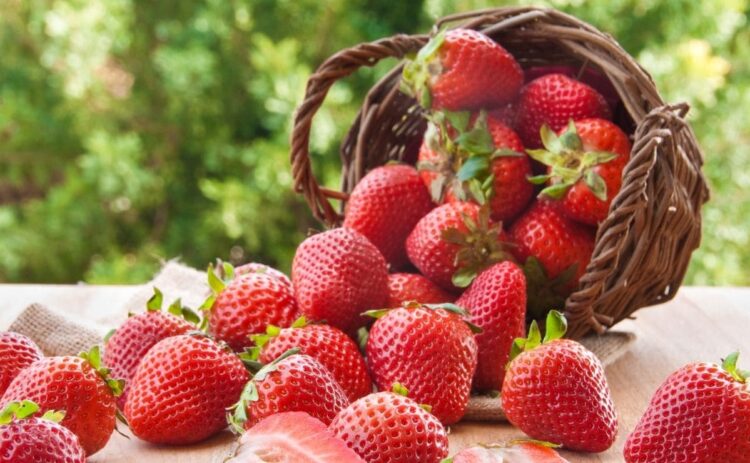 Mascarilla casera con fresas ideal para prevenir el envejecimiento