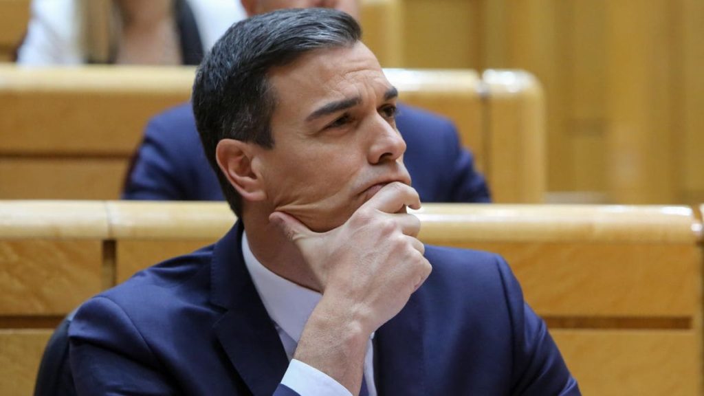 El Gobierno de Pedro Sánchez trabaja en la creación de un nuevo Plan para el Autismo